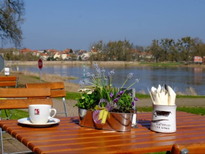 照片: Elbterrasse Wörlitz