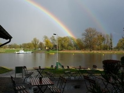 照片: Elbterrasse Wörlitz